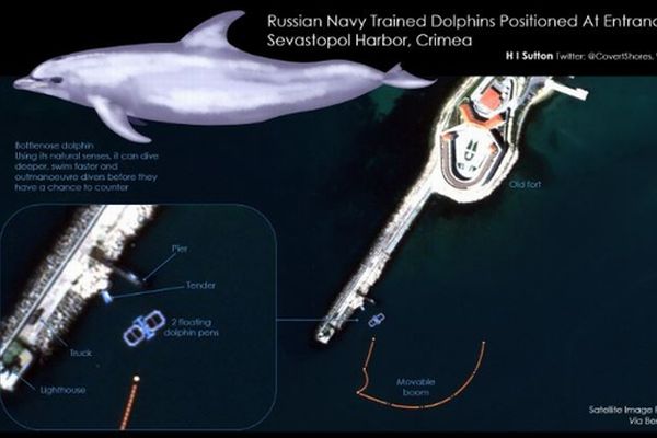 ロシア軍が黒海に「イルカ部隊」を配置？米海軍研究所の衛星画像が示唆