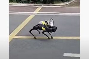 中国の街に「ロボドッグ」が登場、新型コロナの感染対策を呼び掛ける