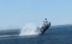メキシコで小型ボートがクジラに衝突か？船体が飛び跳ね6人が負傷