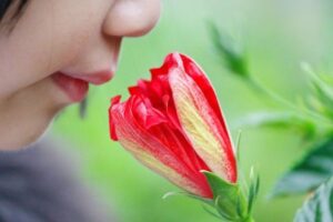 科学者が世界で最も好まれている匂いを発見したと主張、その香りとは？