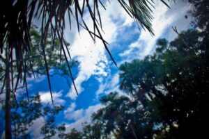 ベネズエラでWiFiのパスワードを巡り、軍と先住民が衝突、4人が死亡