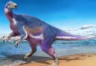 北海道で発見された新種の恐竜、「パラリテリジノサウルス・ジャポニクス」と命名