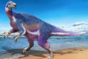 北海道で発見された新種の恐竜、「パラリテリジノサウルス・ジャポニクス」と命名