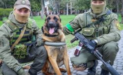 ロシア軍に捨てられた軍用犬、ウクライナ兵に保護され、地雷除去で活躍