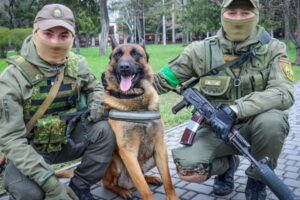 ロシア軍に捨てられた軍用犬、ウクライナ兵に保護され、地雷除去で活躍