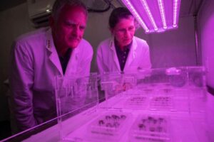 アポロ計画で採取された月の土を使い、初めて植物を育てることに成功