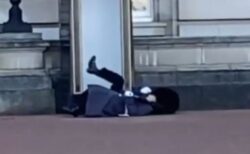英・バッキンガム宮殿の衛兵、警備中に転倒する場面を撮影されてしまう