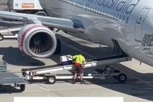 機内の貨物室に運ばれるワンコに付き添う荷物係、優しい動画が話題に