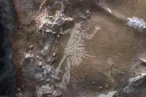 アメリカの先住民が描いた洞窟壁画、3Dモデルを構築して調査