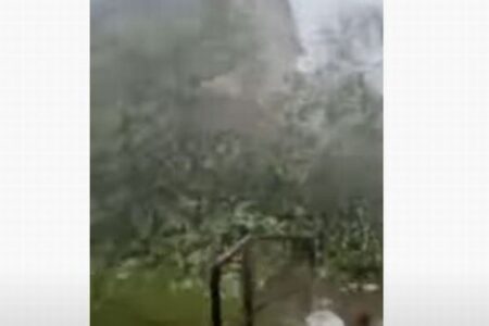 激しい嵐により、大きな木が自宅に向かって倒れてきた！【動画】