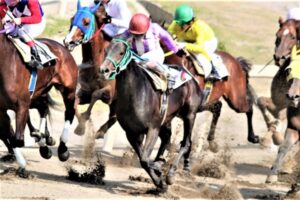 ケンタッキーダービーで人気最低の大穴馬がまさかの優勝、単勝81倍