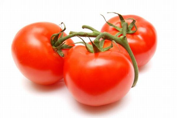 遺伝子編集されたトマトが、間もなくイギリスで販売される予定