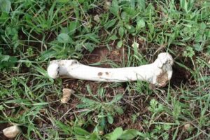 「イギリスはカニバリズムの瀬戸際にある」ロシア・メディアのプロパガンダ