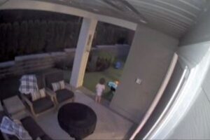 「わぁ、クマさんだぁ！」喜んで近づく子供を、母親が素早く抱き上げ避難【動画】