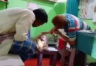 インドでサルが自ら診療所を訪れ、ケガの治療を受ける【動画】