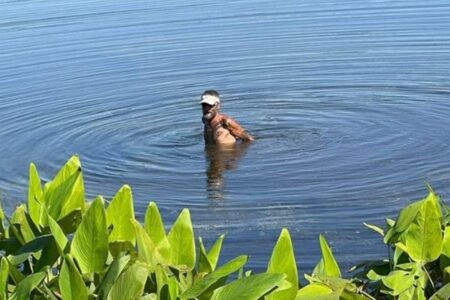 ワニが生息する湖でフリスビーを回収していた男性が死亡、手足がない状態で発見される