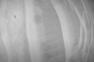 NASAの火星探査ヘリコプターが最長、最速の飛行に成功【動画】