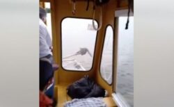 スクールボートに乗った子供たちが海で溺れかけたネコを発見、船長が保護