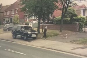 犬が飼い主を救う？女性が暴走してきた車を間一髪で避ける