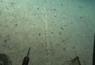 大西洋の海底に人間が作ったような穴の列、科学者の投稿にユーザーが反応