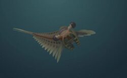 カンブリア紀の海洋捕食動物の化石、保存状態が良く脳まで残っていた！
