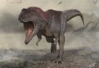 アルゼンチンで新たな肉食恐竜の化石を発見、小さな手の機能とは？