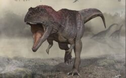 アルゼンチンで新たな肉食恐竜の化石を発見、小さな手の機能とは？