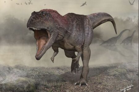アルゼンチンで新たな肉食恐竜の化石を発見、小さな手の機能とは？