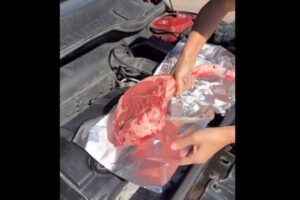 巨大なステーキをエンジンにドーン!車を走らせて焼く女性の動画が話題に
