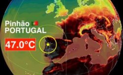 ポルトガル、記録的な暑さで238人が死亡、ヨーロッパ各地で森林火災