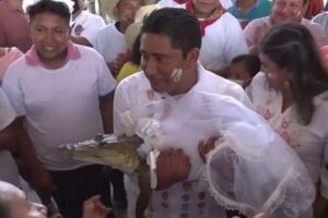 メキシコの村長がワニと結婚！その理由とは？
