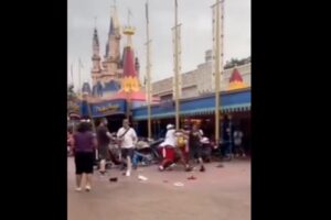 平和なディズニーワールドで家族同士の大喧嘩、1人が救急搬送