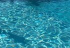 7歳の男の子がプールで溺れそうな3歳児を救助、素早い行動に人々が称賛