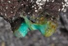 ハワイの火山洞窟の内部に、ミステリアスな微生物を多数発見
