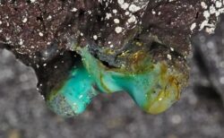 ハワイの火山洞窟の内部に、ミステリアスな微生物を多数発見