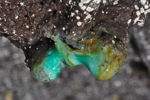 ハワイの火山洞窟の内部に、ミステリアスな微生物を多数発見