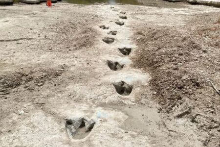 干上がった川の底から、見事な恐竜の足跡が出現【テキサス州】