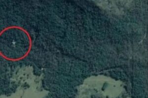 ゴーストイメージか？グーグルマップ上に墜落したような旅客機の姿を確認