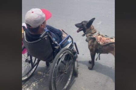 メキシコで介助犬が男性の車椅子を巧みに押す、賢いワンコの動画が話題に