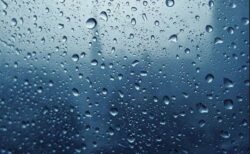 世界中の雨水に、安全基準を上回る化学物質が含まれていることが判明