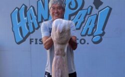 ハワイの漁師が巨大なタコを釣り上げる、州の記録を更新