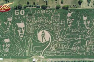 トウモロコシ畑に、映画『007』をテーマにした巨大な迷路が出現