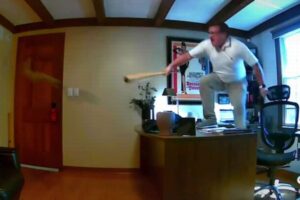 電話会議中に部屋にリスが侵入、男性が恐怖に怯え、悲鳴を上げてしまう