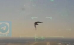 米海軍の練習機が墜落、鳥が衝突する瞬間の映像を公開