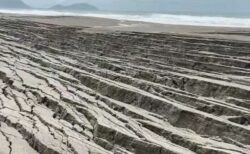 メキシコで起きた地震の直後、浜辺に不気味な無数の亀裂が走っていた【動画】