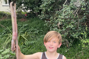 9才の子供が裏庭で1mのミミズを発見【ニュージーランド】