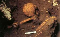 台湾で約6000年前の人骨を発見、語り継がれてきた古代先住民のものか？