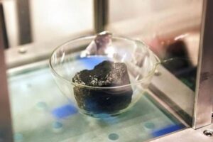 地球に落下した稀少な隕石、小惑星「リュウグウ」と起源が同じか？