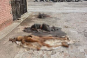 パキスタンの病院で無数の腐敗した遺体を発見、臓器が摘出されていた