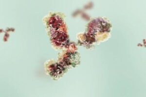 メッセンジャーRNAの技術を使った癌のワクチン、2030年には利用可能か？